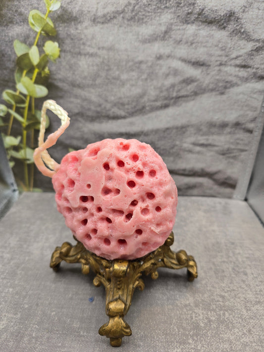 Soap Sponge